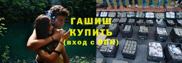 прущие грибы Вяземский