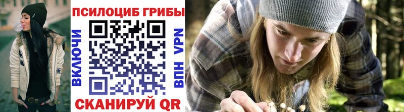 Галлюциногенные грибы Cubensis  хочу наркоту  Заозёрск 